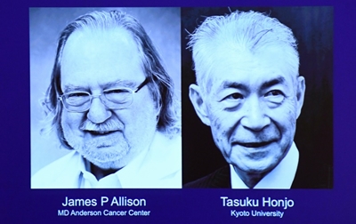 US, Japanese pair win Nobel Medicine Prize 