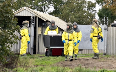 Denmark to cull millions of minks over mutated coronavirus