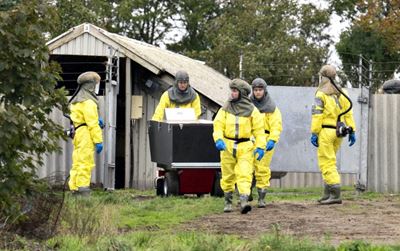 Denmark to cull millions of minks over mutated coronavirus