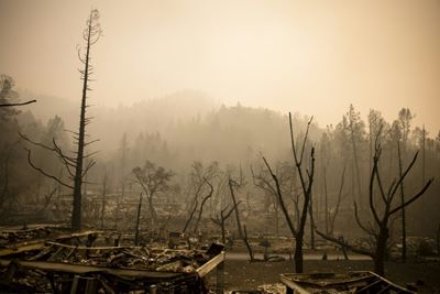 Fire damage to US wine region laid bare as latest death confirmed
