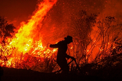 Indonesia forest fires surge, stoking global warming fears