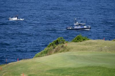 Hunt on for great white shark that killed Sydney swimmer