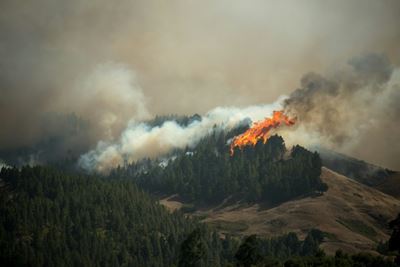 5,000 evacuated as Canary Islands wildfire rages