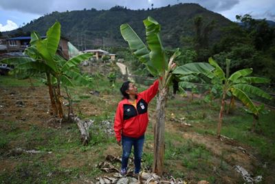 Another deadly year for Latin American environment defenders