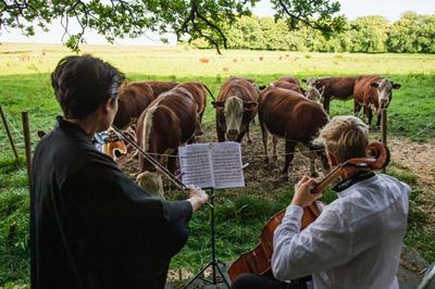 In Denmark, grazing is alive with the sound of music