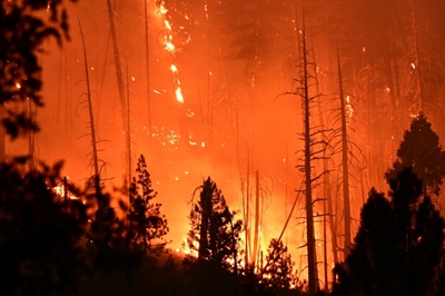 'Terrible proof': California fire documentary explores human failings behind blazes