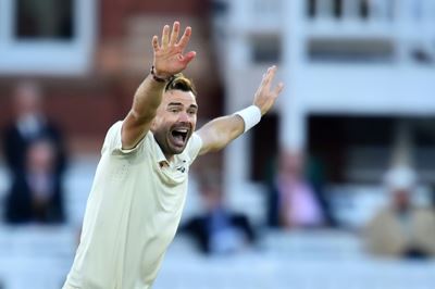Anderson 'uncatchable' once he breaks Test fast-bowling record: McGrath