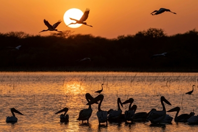 Rangers battle human encroachment in Sudan's biggest park