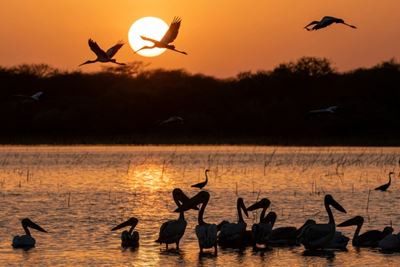 Rangers battle human encroachment in Sudan's biggest park