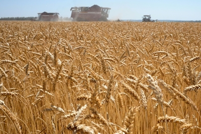 Wheat and corn prices ride the Ukrainian rollercoaster