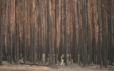 Rain hits Australian fires, but blazes still rage