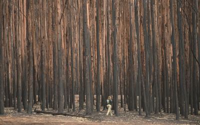 Rain hits Australian fires, but blazes still rage