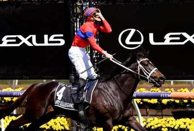 Verry Elleegant upsets hot favourite Incentivise to win Melbourne Cup