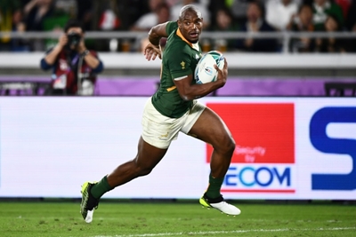 Rugby Championship decision looms for world champions Springboks