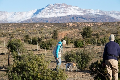 South Africa's 'crazy' mountain farmers cash in on truffle bet