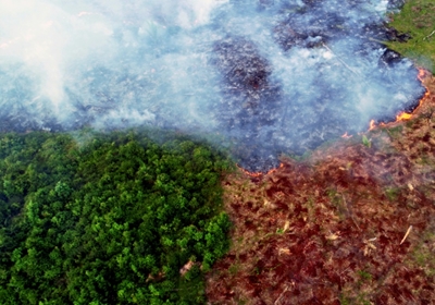 Warming, deforestation turn Amazon into source of CO2