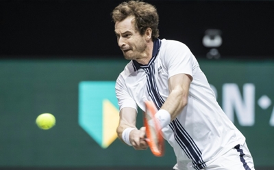 Murray eyes greener pastures after tennis career