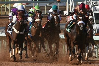 Saudi Arabia to host world's richest horse race