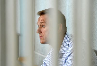 Russian court brands Navalny political organisations 'extremist'