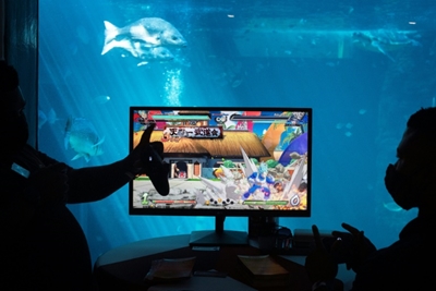 Video game developers cash in on Africa's booming mobile market