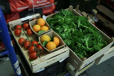 Human diet causing 'catastrophic' damage to planet: study
