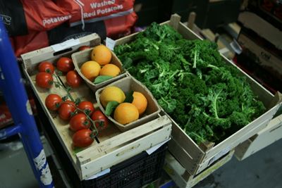 Human diet causing 'catastrophic' damage to planet: study