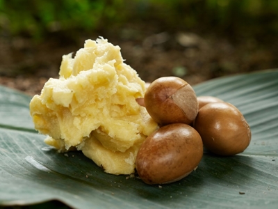 Nigerian farmers hope to spread shea butter wealth 