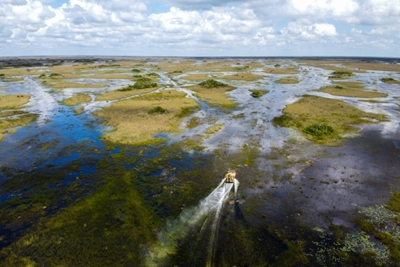 Climate change threatens the Everglades, Florida's gem