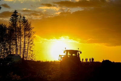 German court blocks RWE from razing forest
