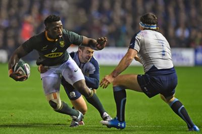 Erasmus defends Springboks captain Kolisi after Scotland incident