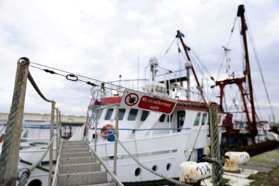 France defers reprisals in post-Brexit fish fight