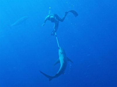 New Zealand's 'first bloke' fends off angry shark
