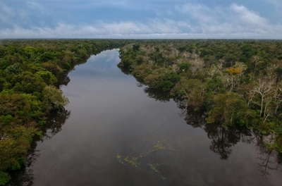 Amazon suffering 'epidemic' of illegal gold mines