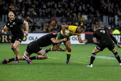 Australia to host Rugby Championship, South Africa in doubt