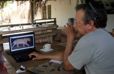 In Colombia, cattle farmer declares truce with jaguar