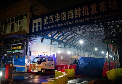 China considers 'complete ban' on wildlife trade