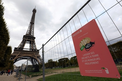 Spot a rat? Real-time map aims to plot Paris sightings