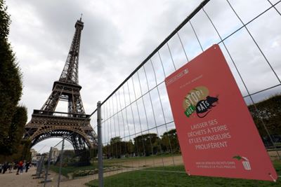 Spot a rat? Real-time map aims to plot Paris sightings