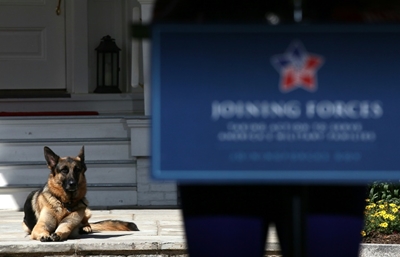 Biden twists ankle playing with dog