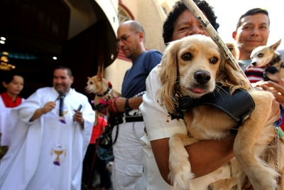 Mexican church blesses furry friends for World Animal Day