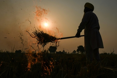 Farm fires stoke Indian capital's pollution crisis
