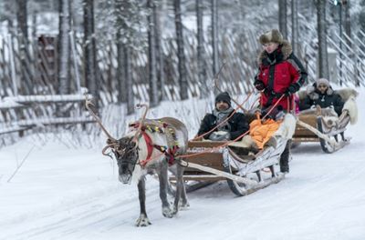 Lonely Christmas in Santa's homeland as tourists stay away