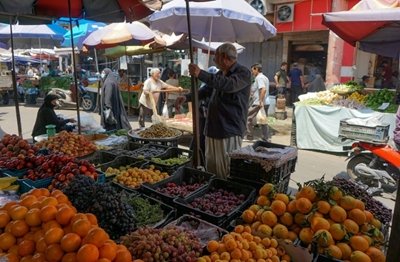 Pandemic has silver lining for Iraq: food self-sufficiency