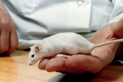 Time to start studying females too, urges scientist