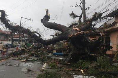 One dead as powerful typhoon batters the Philippines
