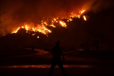 Deadly wildfires reach Turkish power plant, sparking evacuations
