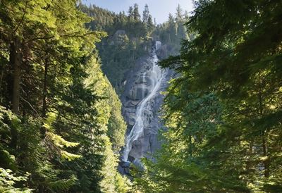 Daring Canadian trio is mourned online after deaths at falls