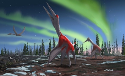 Largest flying animal in history identified: study