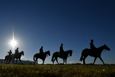British horse racing cancelled after equine flu outbreak