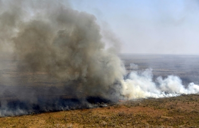 Bolivia has lost 1.7 million hectares to fire: government
